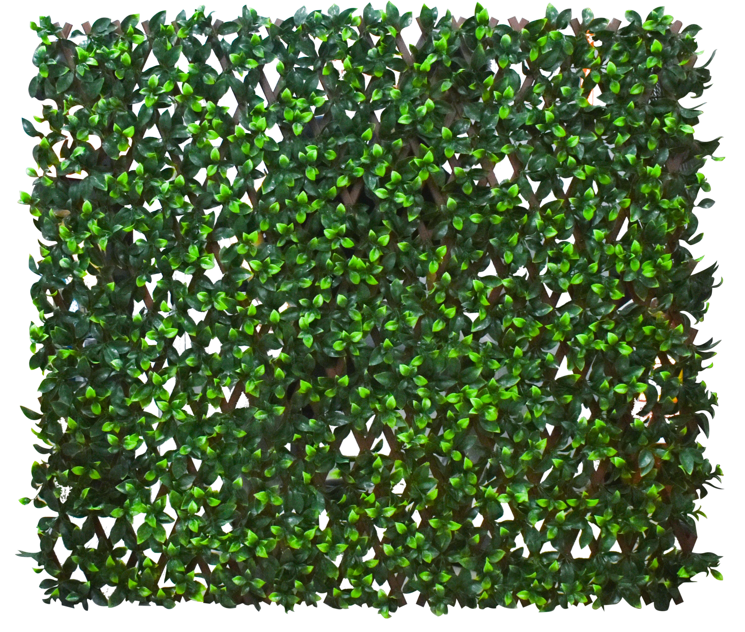 PVC TRELLIS RYKER 192010A 100X200CM GARDENIA